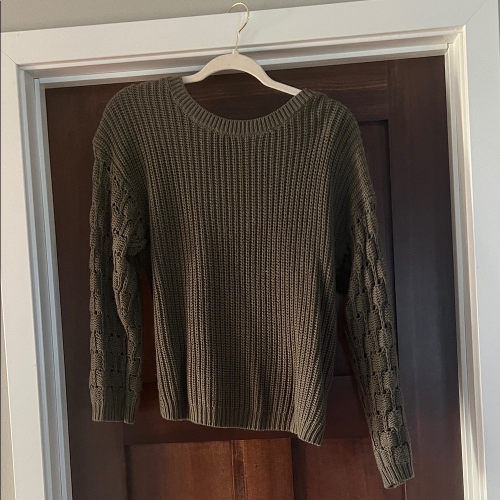 Express Olive Crew Neck Sweater